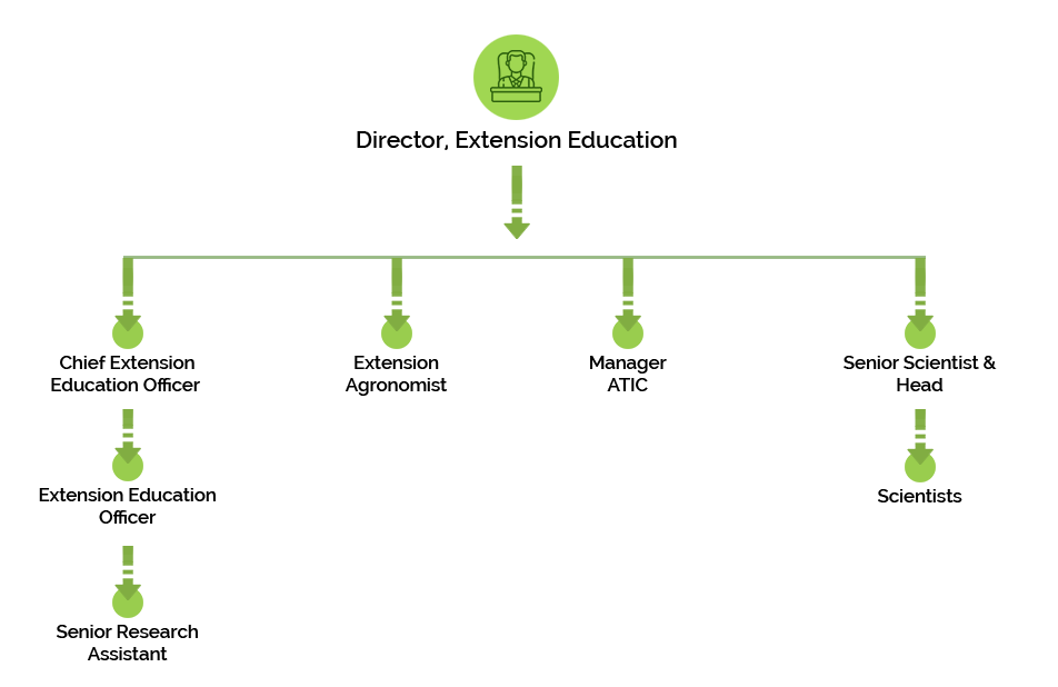 Hierarchical Structure