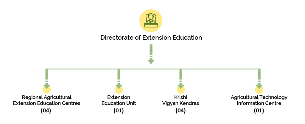 Organization Structure